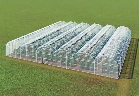 タカミヤの愛菜、「羽生愛菜プロジェクト」2期目のきゅうり収穫を実施　販売先が3社に拡大し、2023年6月までに収穫量計234トンを目指すのサブ画像4