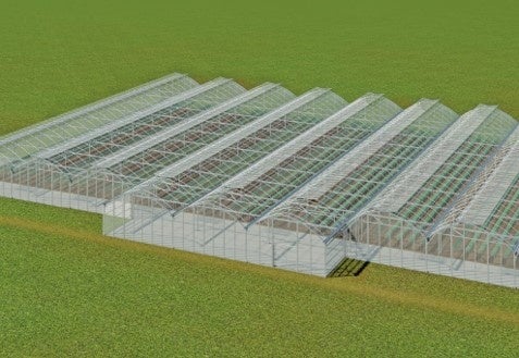 タカミヤの愛菜、「羽生愛菜プロジェクト」2期目のきゅうり収穫を実施　販売先が3社に拡大し、2023年6月までに収穫量計234トンを目指すのサブ画像6