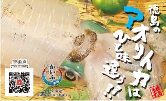 徳島県を代表する絶品グルメ「海部のアオリイカ」を是非ご賞味ください！のサブ画像1_マグネットステッカー