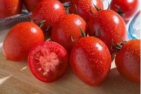 みなとＡファンド、兵庫南農協、日本公庫より資金調達のお知らせ～高度環境制御ハウスによる機能性トマトの生産開始～のサブ画像2