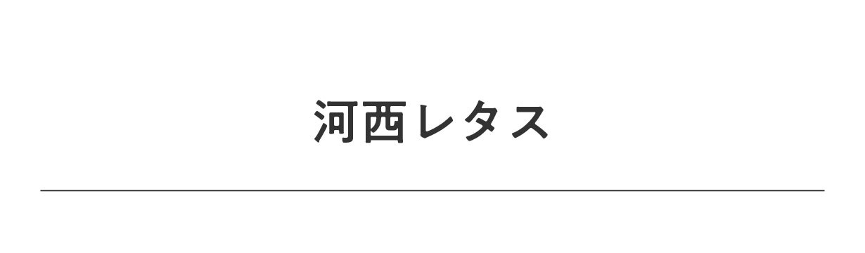 淡路島から河西レタスで驚きと感動をお届けプロジェクト。発売開始3日間で目標売上達成＆応援購入100人越え！！のサブ画像3