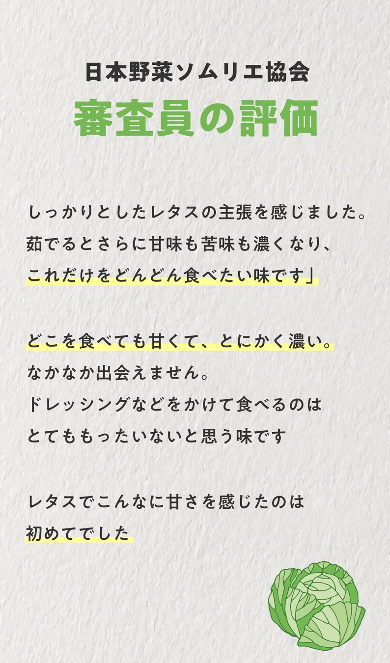 淡路島から河西レタスで驚きと感動をお届けプロジェクト。発売開始3日間で目標売上達成＆応援購入100人越え！！のサブ画像7