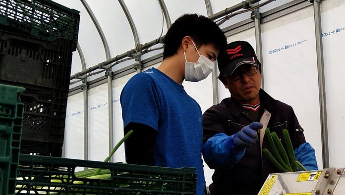 自分の仕事をリモートワークで続けながら、田舎で農業のお手伝いにも挑戦！秋田で取り組む“半農半Ｘ（はんのうはんエックス）”のメイン画像