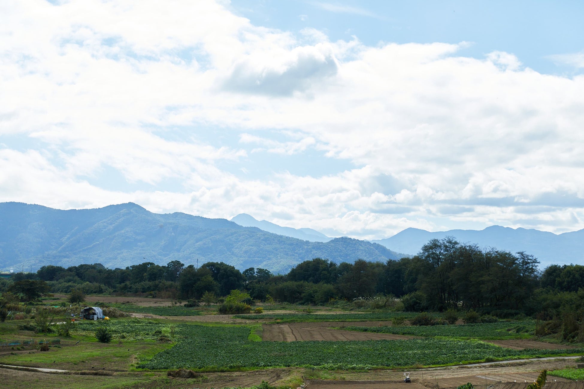 デイトナ・インターナショナルが⻑野県の「耕作放棄地」を活用し、新たな名産の創出や若者の農業参加を促進。のサブ画像9