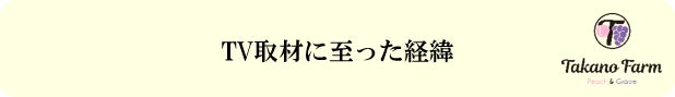 MBS/TBS系列「所さん お届けモノです！」にてエアリーフルーツ®TV放映のお知らせ！のサブ画像3