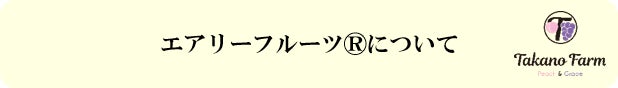 MBS/TBS系列「所さん お届けモノです！」にてエアリーフルーツ®TV放映のお知らせ！のサブ画像6