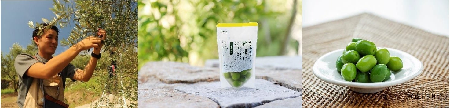 一年に一度、たった2か月だけの旬の味わい　小豆島の伝統加工品「新漬けオリーブ」今年もできました！のサブ画像1_写真／芥川仁含む
