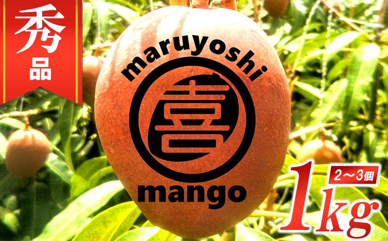 沖縄県マンゴーコンテスト受賞者多数！うるま市がふるさと納税返礼品としてマンゴーの2023年発送分の予約受付を開始。のサブ画像14_まるよしマンゴー農園