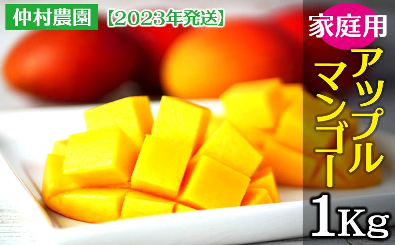 沖縄県マンゴーコンテスト受賞者多数！うるま市がふるさと納税返礼品としてマンゴーの2023年発送分の予約受付を開始。のサブ画像9_家庭用アップルマンゴー