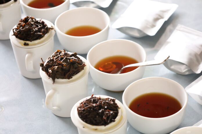 「和紅茶」がイギリスの品評会で世界一を獲得！進化する日本産の紅茶にZ世代も注目のメイン画像