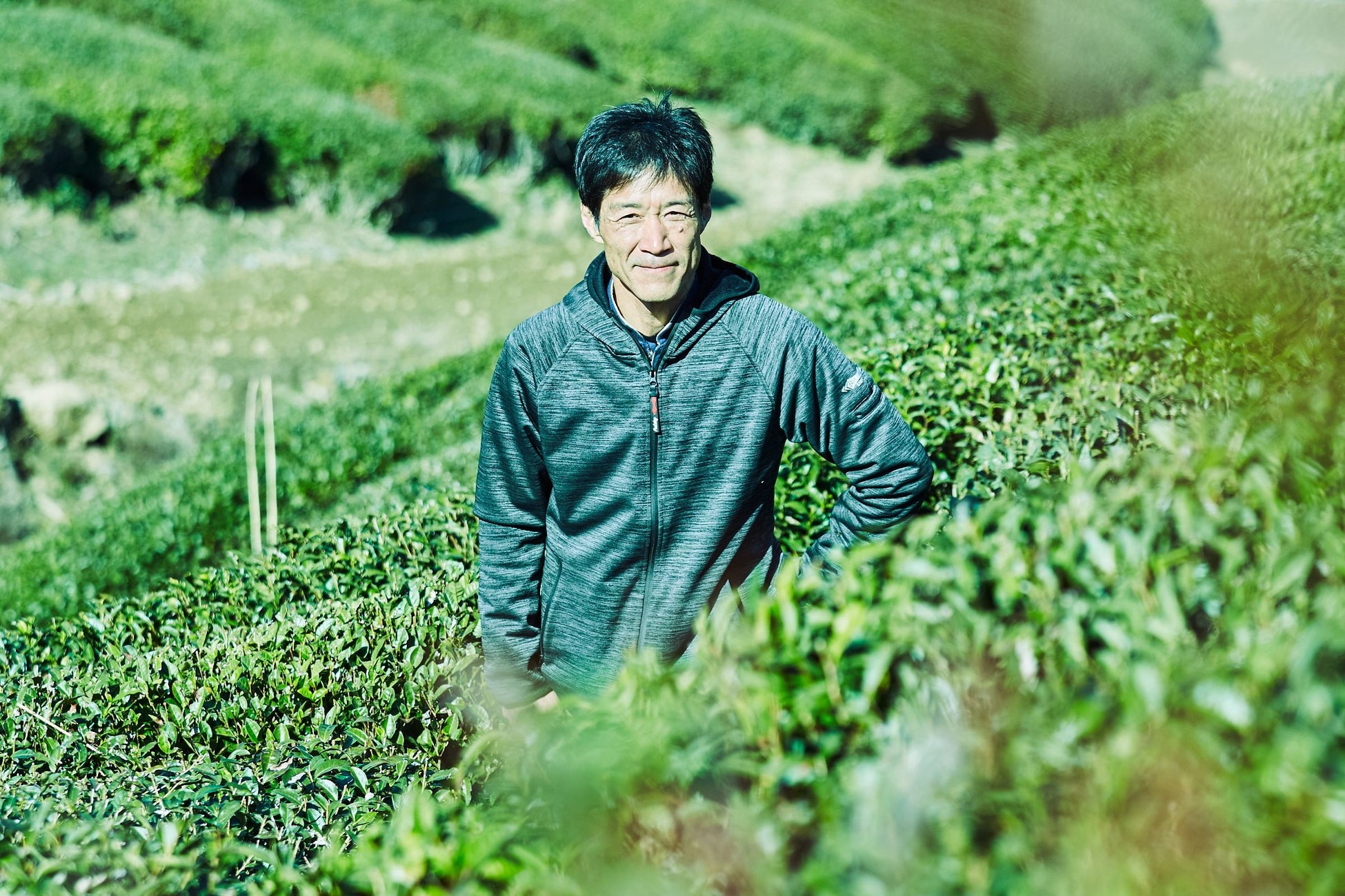 「和紅茶」がイギリスの品評会で世界一を獲得！進化する日本産の紅茶にZ世代も注目のサブ画像1_お茶のカジハラ