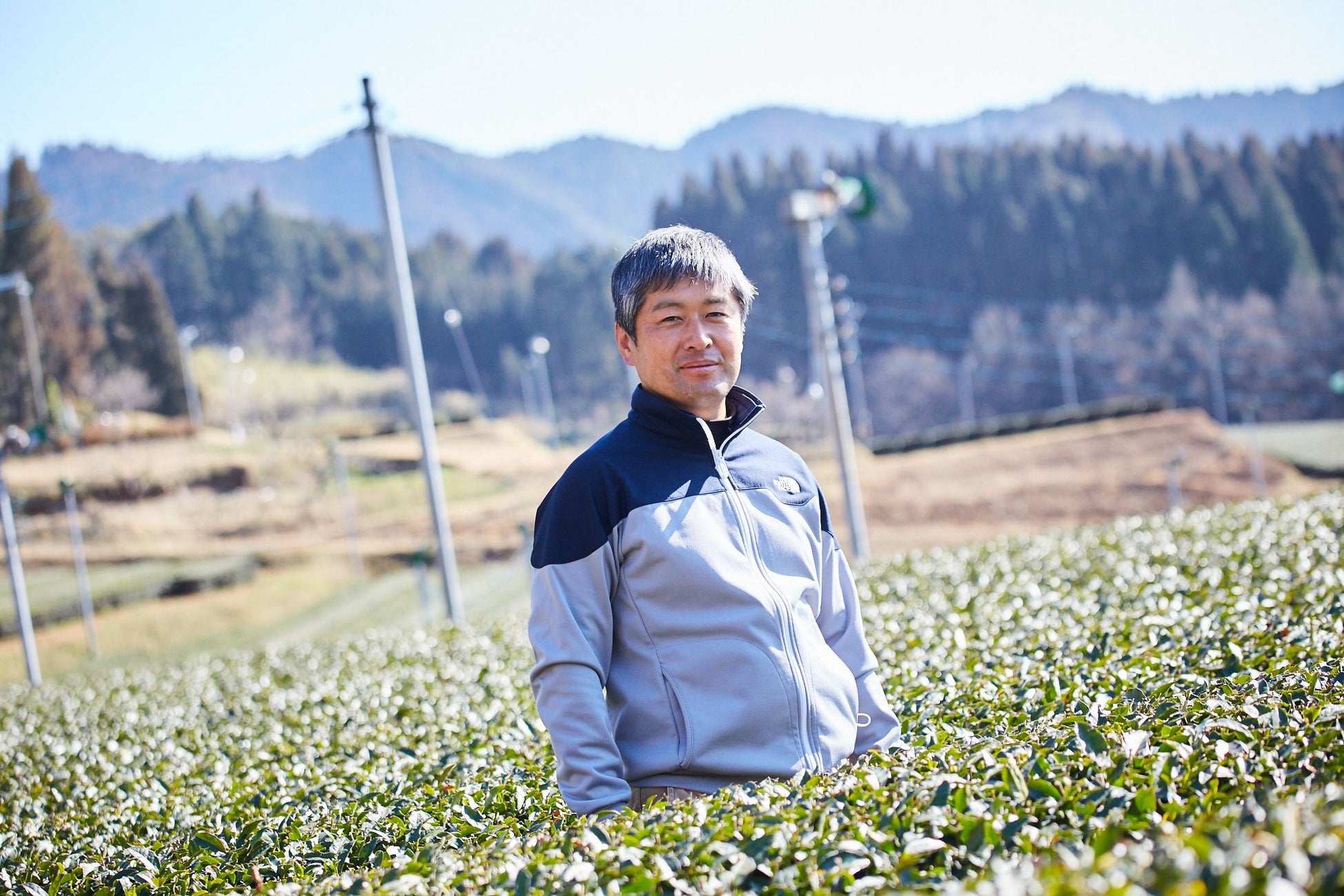 「和紅茶」がイギリスの品評会で世界一を獲得！進化する日本産の紅茶にZ世代も注目のサブ画像4_甲斐製茶園