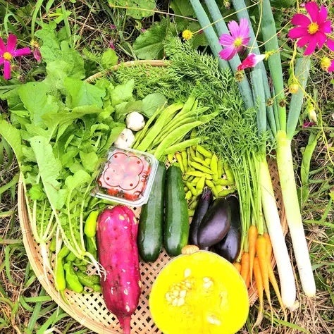 こだわり野菜やフルーツなどのお試し商品が簡単に見つかる！産直アウル、少量商品を集めた「お試し商品」ページを新設のサブ画像2