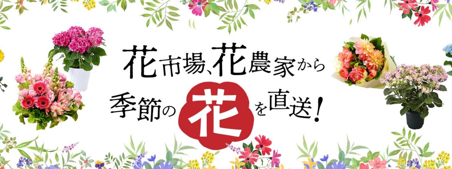 「お花の定期便 サブスク」はじめました！豊洲市場ドットコムの新サービスですのサブ画像4