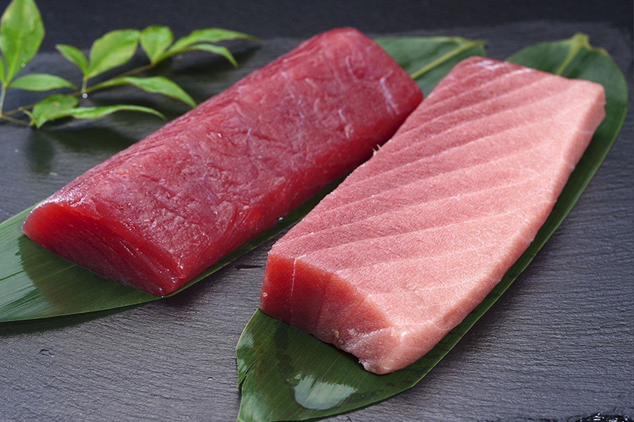 豊洲市場ドットコム・うまいもんドットコムは、11月3日から7日の「さかなの日」に合わせて特設サイトを用意し、魚食の魅力を消費者に向けてPRしますのサブ画像5