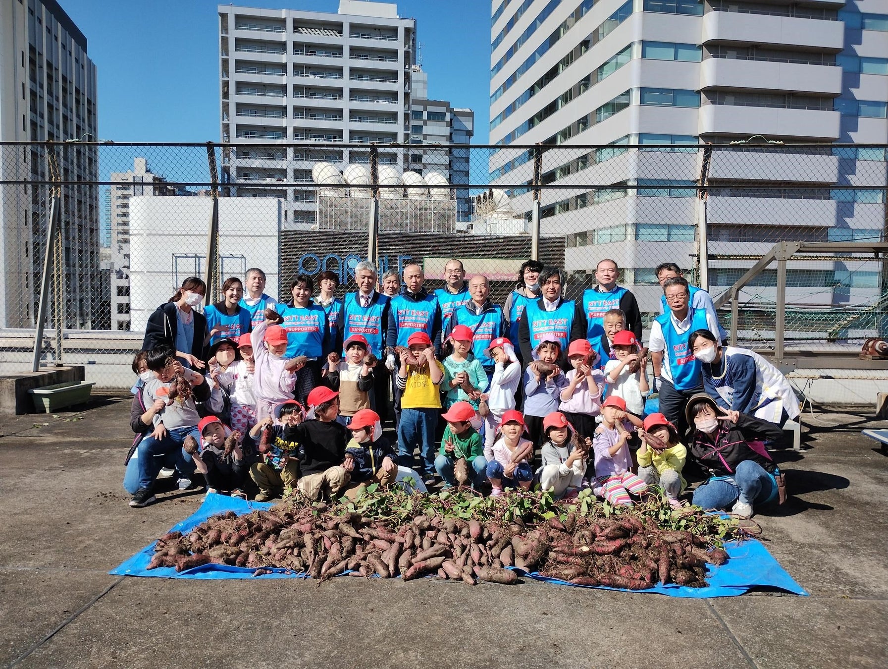 【3年ぶりの合同開催】保育園児と一緒にサツマイモの「収穫祭」を開催のサブ画像1