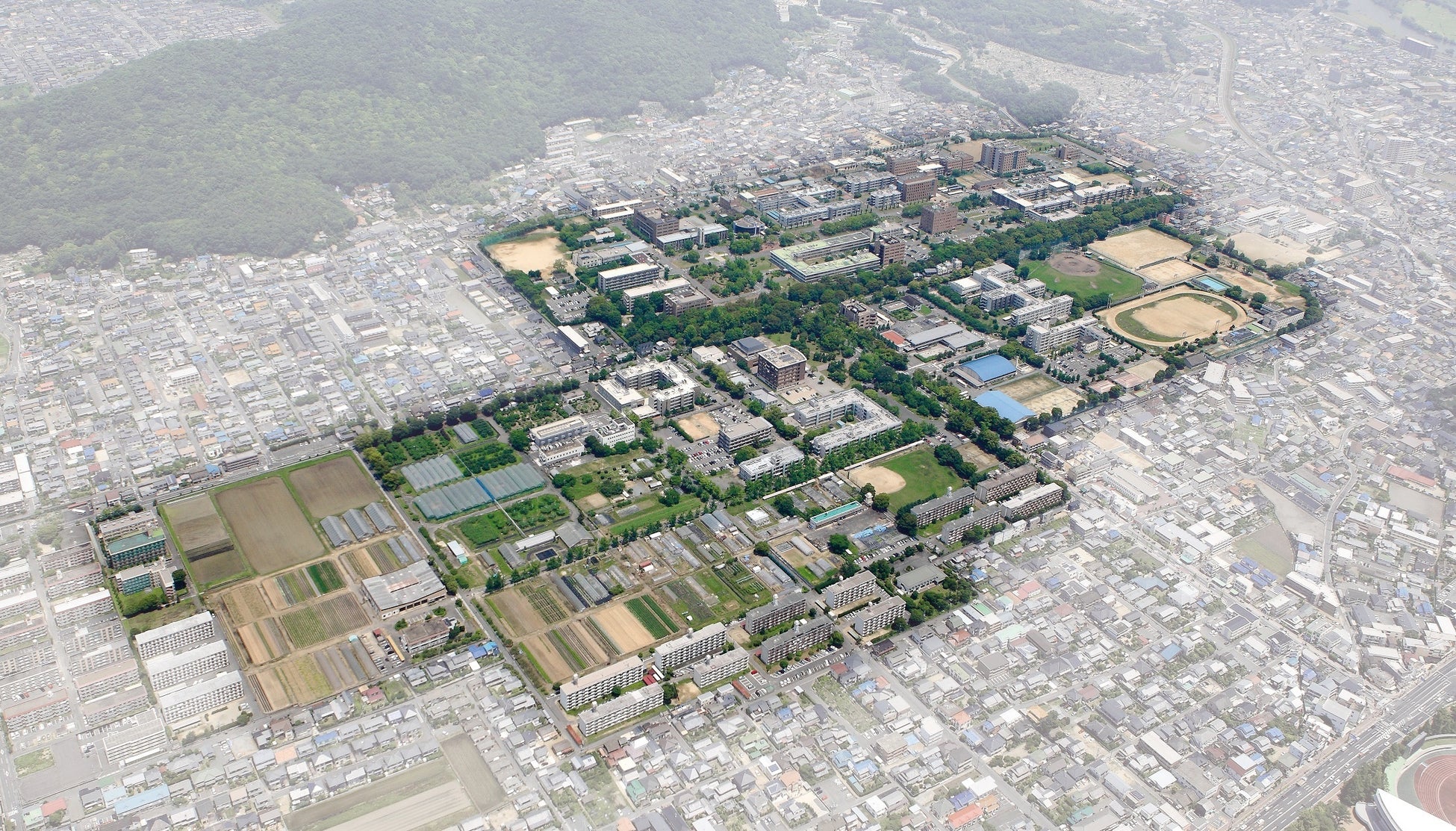 【岡山大学】寄付講座 微生物インダストリー講座 開設記念シンポジウム「麴を活かしたものづくり～固体培養が生み出す発酵のイノベーション～」〔11/1,火 ハイブリッド開催〕のサブ画像4_岡山大学津島キャンパス（岡山市北区）