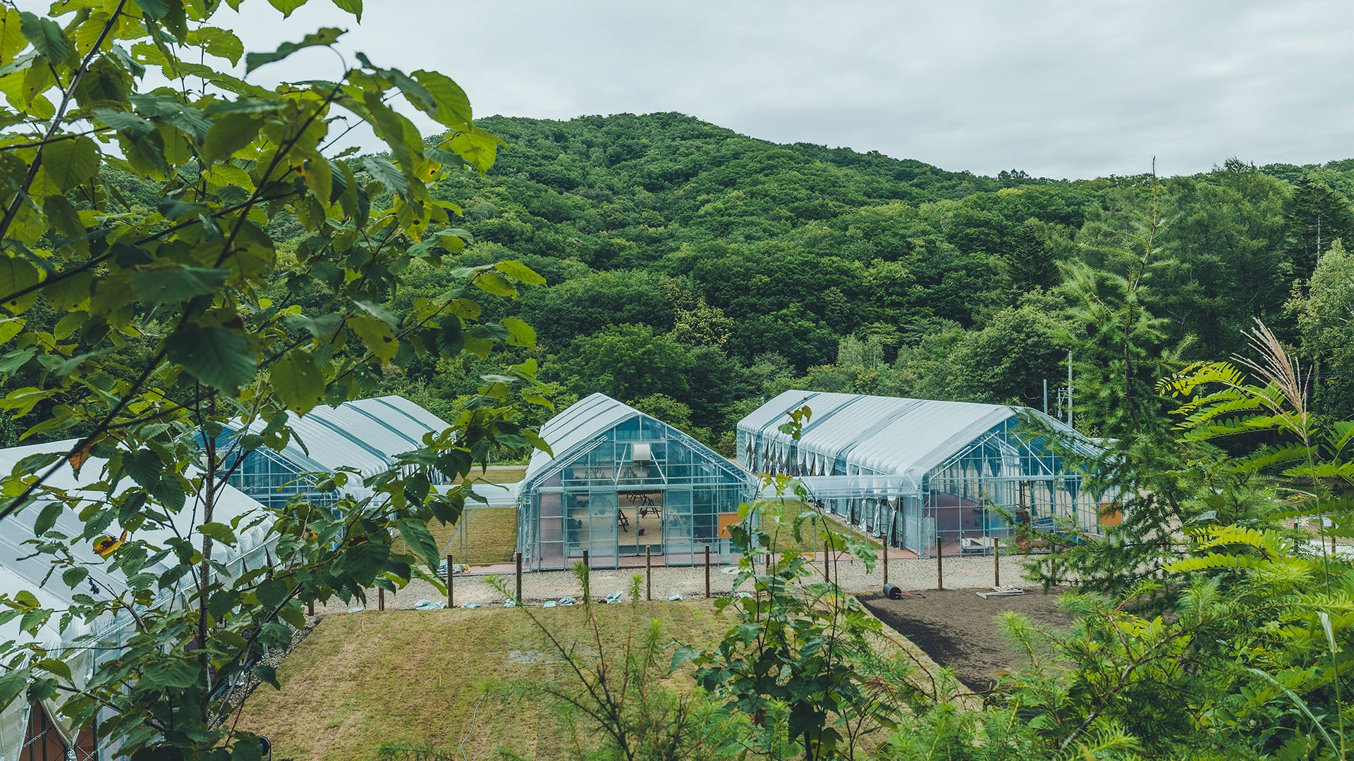 ユートピアアグリカルチャーのFOREST REGENERATIVE PROJECTが本格始動！都市近接型で行う、多様な動物と植物による森の活性化実験のモデルファーム「盤渓農場」が10/18オープン！のサブ画像5