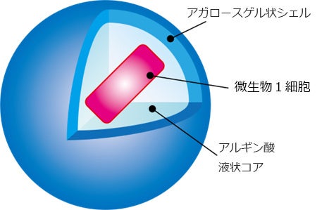 アガロースゲル・マイクロカプセル作製技術について理化学研究所と特許使用許諾契約を締結のサブ画像1