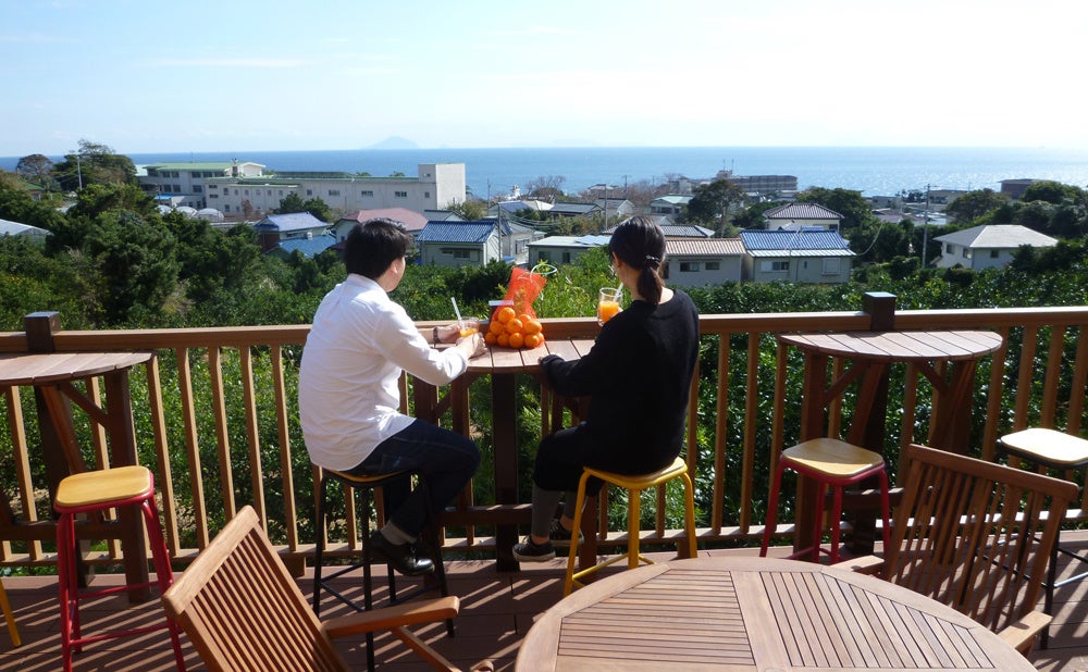 【伊豆稲取温泉】海一望の絶景を見ながら、みかん狩りを楽しむ送迎付きプランを販売開始！温泉と新鮮な魚介も堪能のサブ画像7