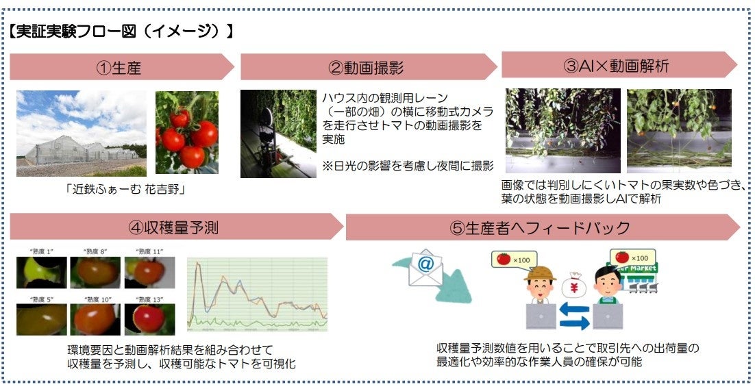 AIと動画解析の技術を活用したトマトの収穫量予測を実施　～「近鉄ふぁーむ 花吉野」にて実証実験の開始 ～のサブ画像3