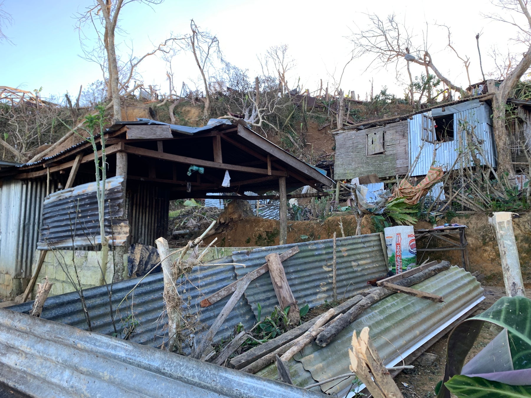 フィリピンセブ島、巨大台風の被害にあった零細農家へのコンポスティング技術指導のサブ画像1_台風直後の山岳地域の様子