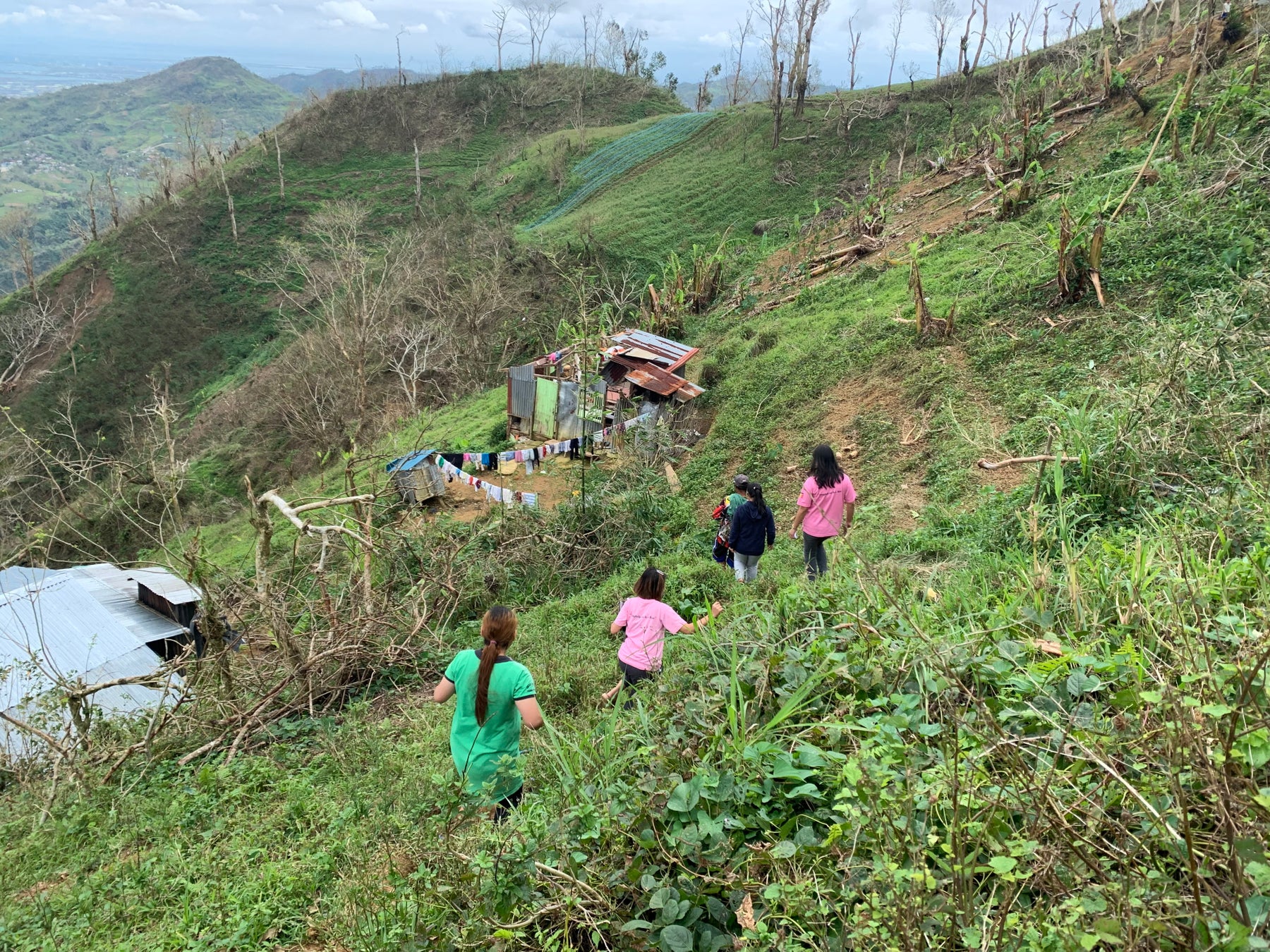 フィリピンセブ島、巨大台風の被害にあった零細農家へのコンポスティング技術指導のサブ画像3_荒れた急斜面にある畑