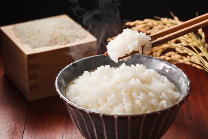 毎日のごはんをもっとおいしく、もっと楽しく！ 鮮度にこだわるお米と厳選食材を集めたポータルサイト『玄米マルシェ』をオープン！のメイン画像