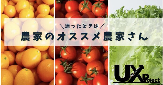 食べチョクに登録している熊本県の農家が協力して試供品やチラシを同梱するプロジェクトを始動のメイン画像