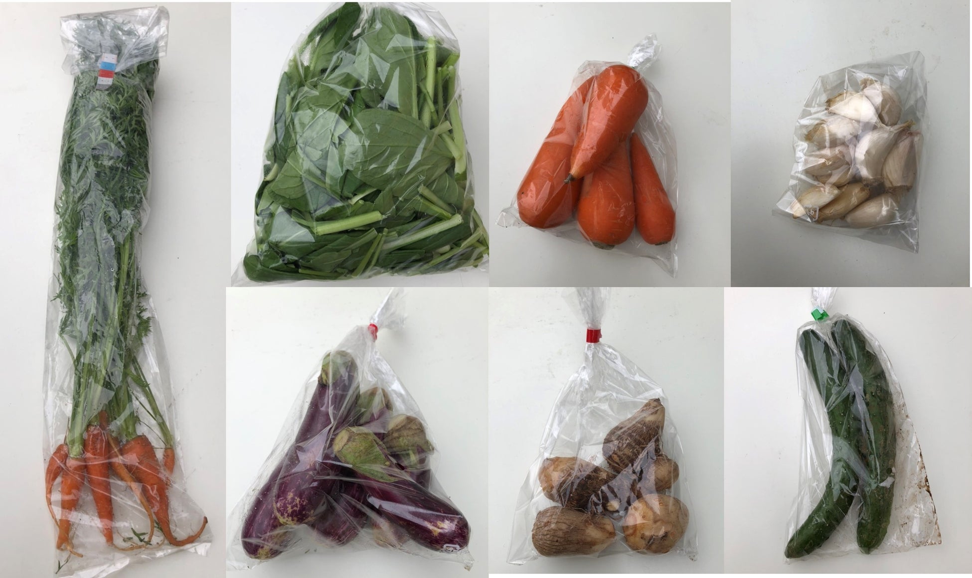 千葉大生がリーフレット配布と規格外野菜の展示を行い、フードロス削減を啓発のサブ画像3_展示した野菜（一部）