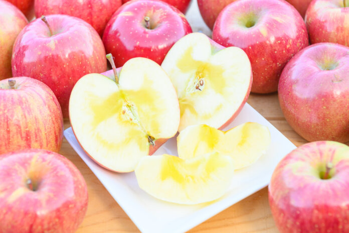株式会社日本農業による日本初のインド向けりんご輸出のメイン画像