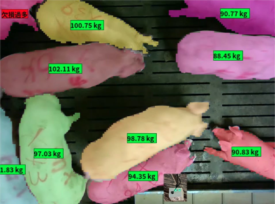 養豚経営管理ツール「Porker」が2023年1月に新導入される枝肉規格改正に対応のサブ画像4_体重測定イメージ