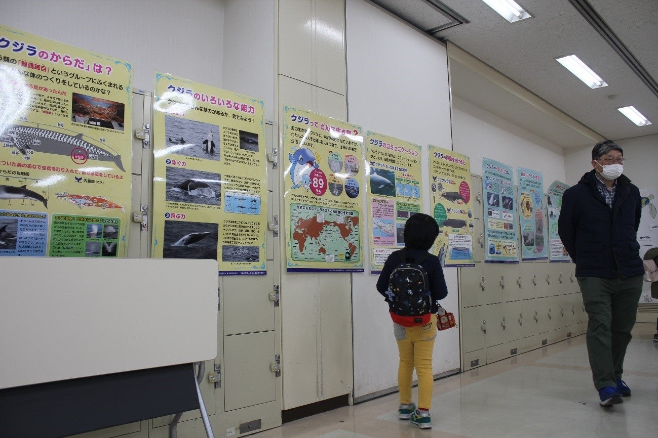 親子で鯨の持続的利⽤や鯨食文化を学ぶ「たべるくじらのがっこう」を横浜みなとみらいで開催のサブ画像3