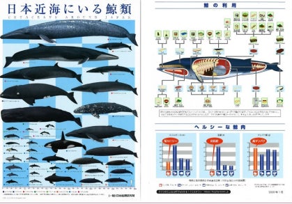 親子で鯨の持続的利⽤や鯨食文化を学ぶ「たべるくじらのがっこう」を横浜みなとみらいで開催のサブ画像5