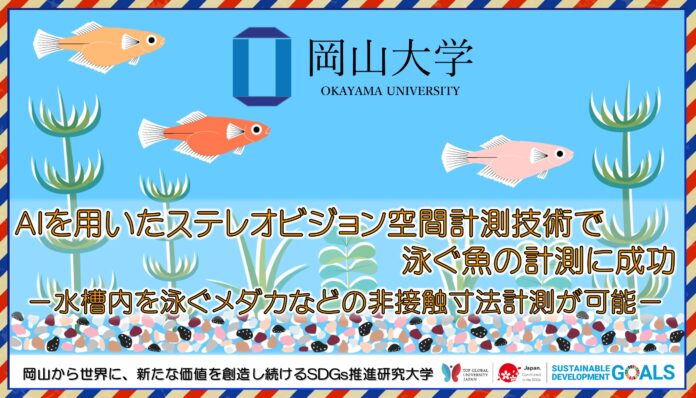 【岡山大学】AIを用いたステレオビジョン空間計測技術で泳ぐ魚の計測に成功 －水槽内を泳ぐメダカなどの非接触寸法計測が可能－のメイン画像
