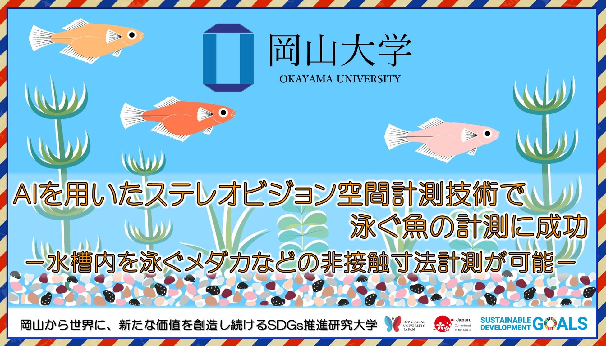 【岡山大学】AIを用いたステレオビジョン空間計測技術で泳ぐ魚の計測に成功 －水槽内を泳ぐメダカなどの非接触寸法計測が可能－のサブ画像1