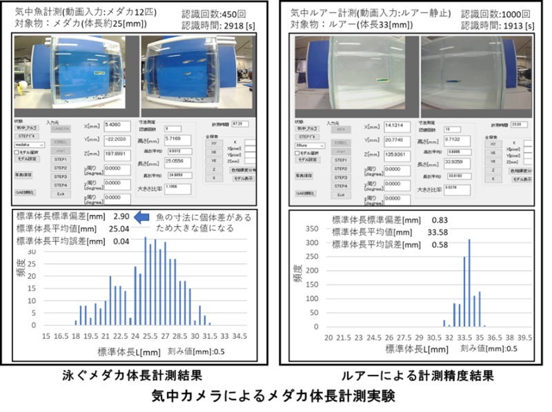 【岡山大学】AIを用いたステレオビジョン空間計測技術で泳ぐ魚の計測に成功 －水槽内を泳ぐメダカなどの非接触寸法計測が可能－のサブ画像3