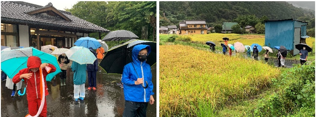 【豊田高専】学生による中山間地域活性化イベントを開催！のサブ画像4_左：雨具に着替えて稲の見学へ／右：成長した稲を一生懸命に観察