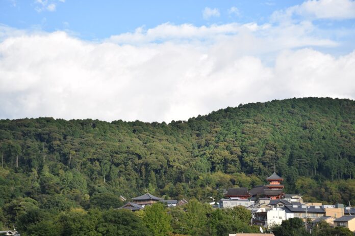 荒廃が進む京都三山の「東山」を、文化育む「共生の森」へ。クラウドファンディング開始のメイン画像