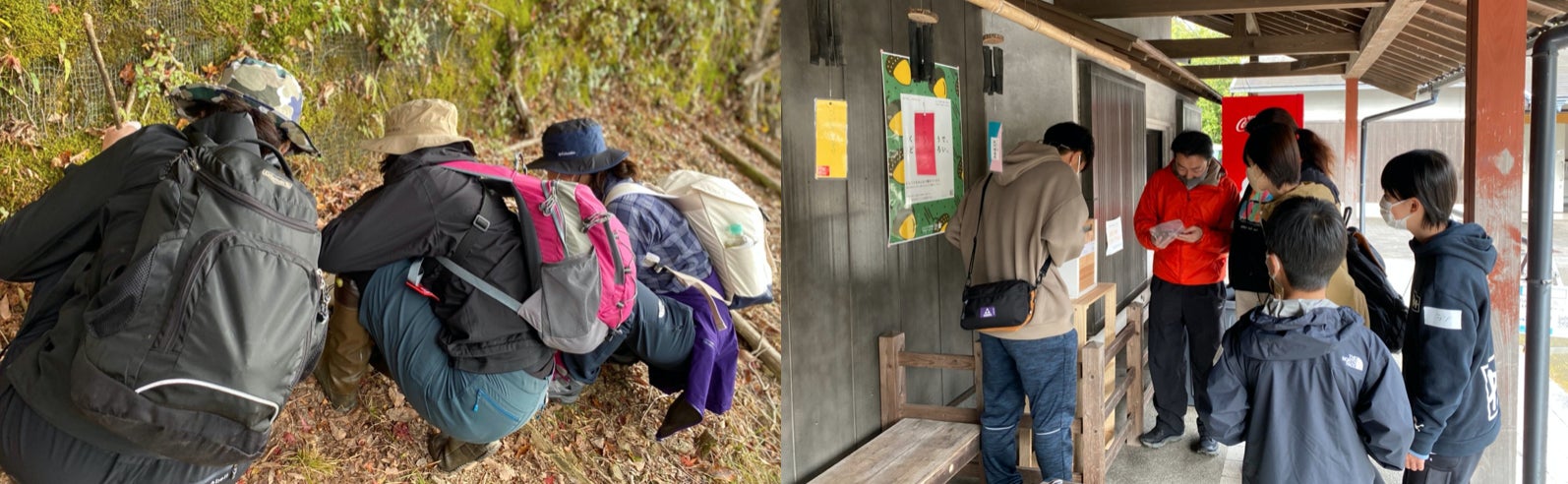 世界遺産で観光客がどんぐりを拾う！？熊野の森を守るプロジェクト「三度（たびたび）」を20代の若者らがスタートのサブ画像5
