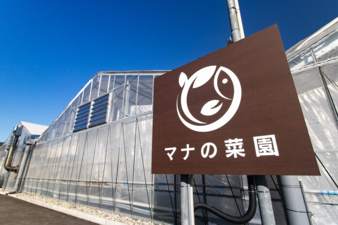 日本最大級のアクアポニックス農場を岐阜県にオープンのメイン画像