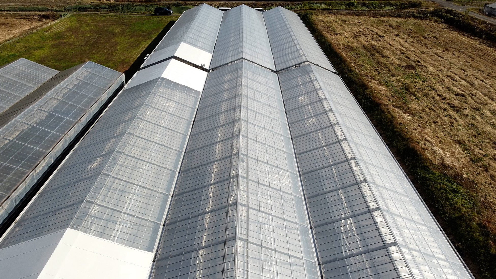 日本最大級のアクアポニックス農場を岐阜県にオープンのサブ画像3_上空からの様子（中央6棟）