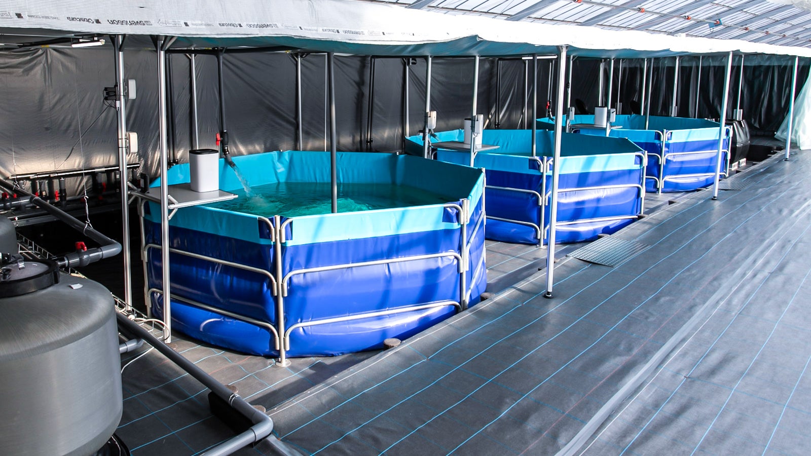 日本最大級のアクアポニックス農場を岐阜県にオープンのサブ画像7_フィッシュプールと栽培ベッドの間で水が循環