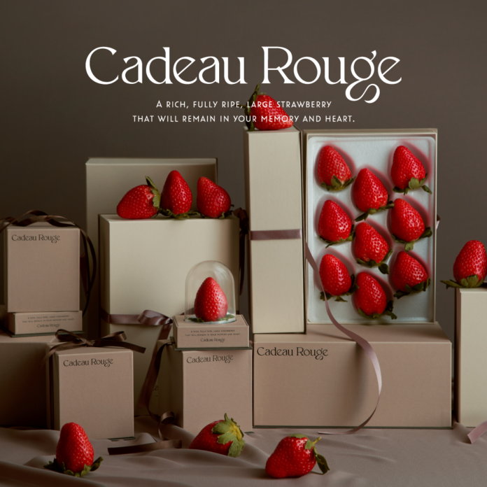 ビームスがプロデュースした珠玉の完熟大粒イチゴブランド「Cadeau Rouge（カドー ルージュ）」を、東京・新宿の「BEAMS NEWS（ビームス ニューズ）」で発売のメイン画像
