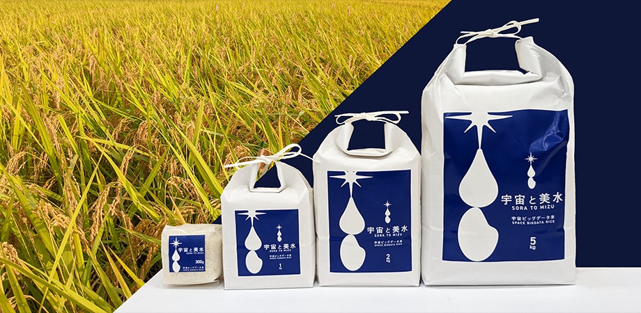 JAXAベンチャー 天地人、「宇宙ビッグデータ米」の栽培と収穫が完了。宇宙から米作りに最適な土地を探し栽培した米を12月より販売開始のサブ画像1