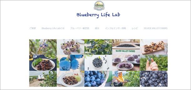 北米ブルーベリー生産最大手の一社シルバーバレーファーム、日本向けサイトに新コンテンツを追加、さらにレシピ提案が充実「ブルーベリー マジック：ザ・ギャザリング レシピ」のサブ画像3