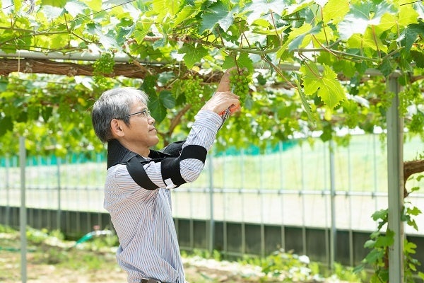 スマート農業の理解と担い手の育成を目的とした「広島県スマート農業フェア」でアシストスーツ等の出展を行います！のサブ画像6