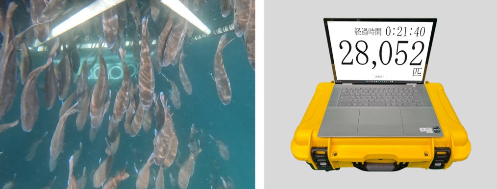 超音波式水中可視化技術を活用して養殖マダイの個体数自動計測に成功のサブ画像1_個体数計測イメージ（本システム画面イメージ）