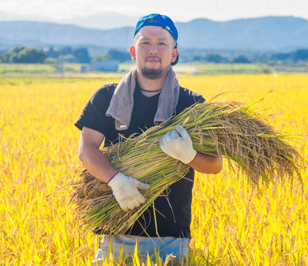 【金賞受賞】コンクールで高い評価を受けた山形県南陽市の島崎 真人さんが作る お米をお取り寄せ。うまいもんドットコムで特設コーナーを開設しましたのサブ画像4
