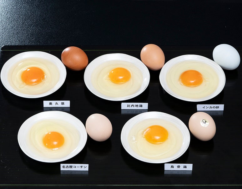 全国の美味な卵をお取り寄せ。「卵の定期便」は、市場仕入れ＆直送 だから新鮮でお得！豊洲市場ドットコムの新サービスですのサブ画像2